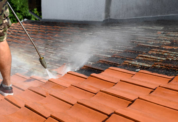 Best Residential Pressure Washing Services  in Pulaski, TN