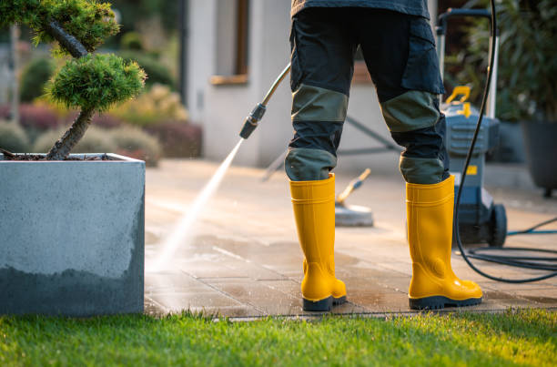Best House Pressure Washing  in Pulaski, TN